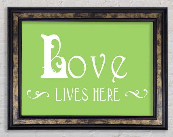 Love Quote Love Lives Here Vines Lime Green Framed Print
