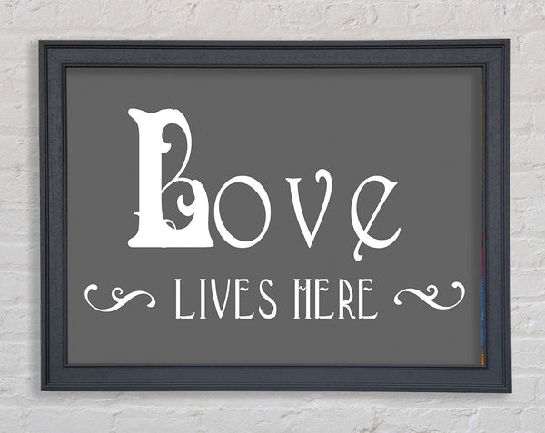 Love Quote Love Lives Here Vines Grey Framed Print
