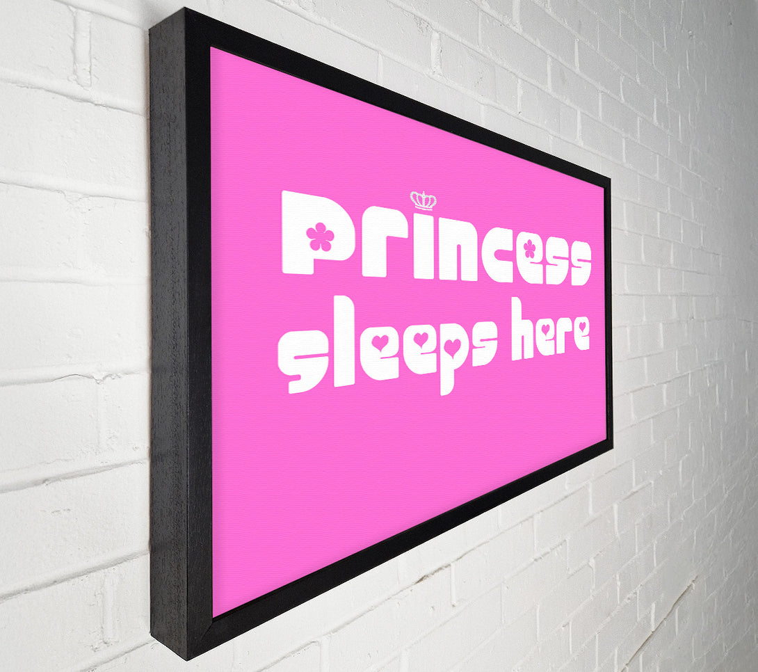  A Canvas Print of Princess sleeps 2 Vivid Pink Canvas Art