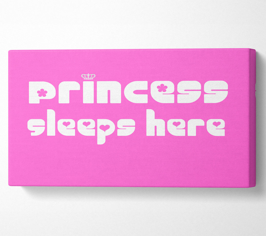  A Canvas Print of Princess sleeps 2 Vivid Pink Canvas Art