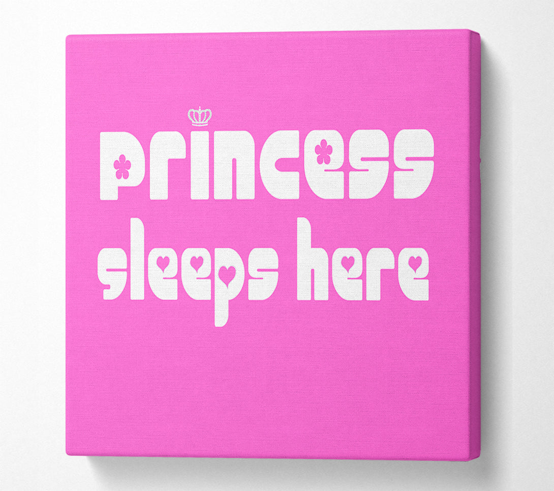  A Canvas Print of Princess sleeps 2 Vivid Pink Canvas Art