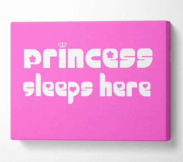  A Canvas Print of Princess sleeps 2 Vivid Pink Canvas Art