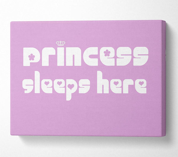  A Canvas Print of Nursery Quote Princess sleeps 2 Pink Canvas Wall Art