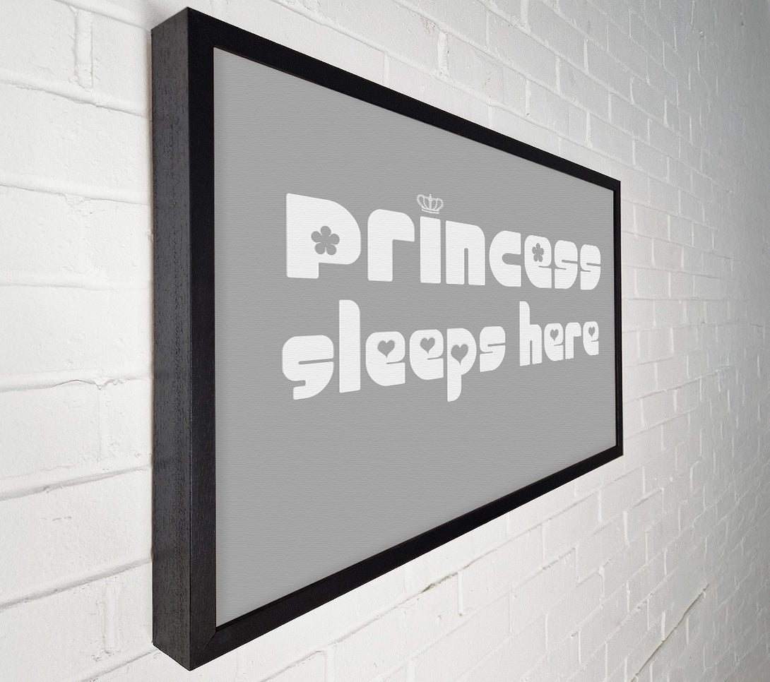  A Canvas Print of Princess sleeps 2 Grey White Canvas Wall Art