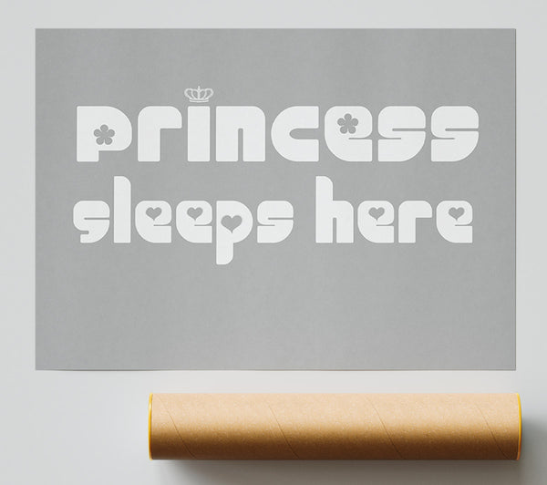 Princess Sleeps 2 Grey White Poster