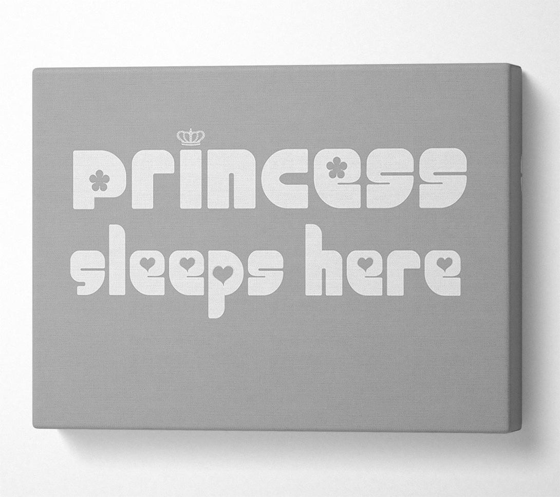  A Canvas Print of Princess sleeps 2 Grey White Canvas Wall Art