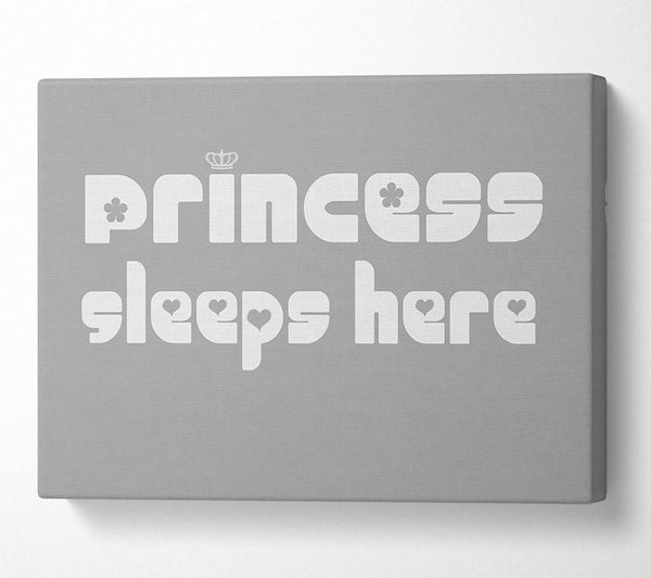  A Canvas Print of Princess sleeps 2 Grey White Canvas Wall Art