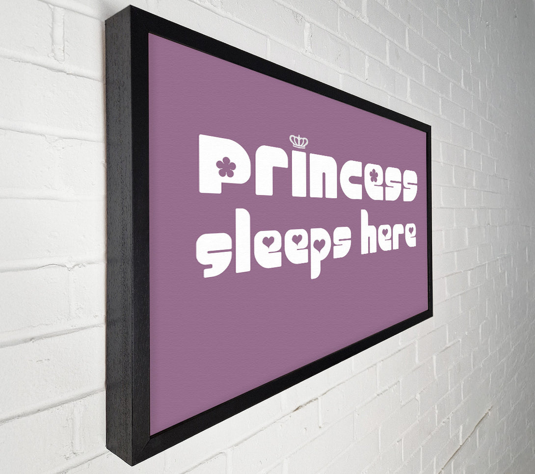  A Canvas Print of Princess sleeps 2 Dusty Pink Canvas Print