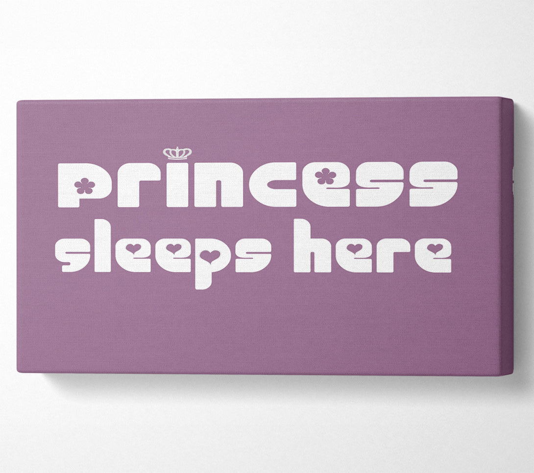  A Canvas Print of Princess sleeps 2 Dusty Pink Canvas Print