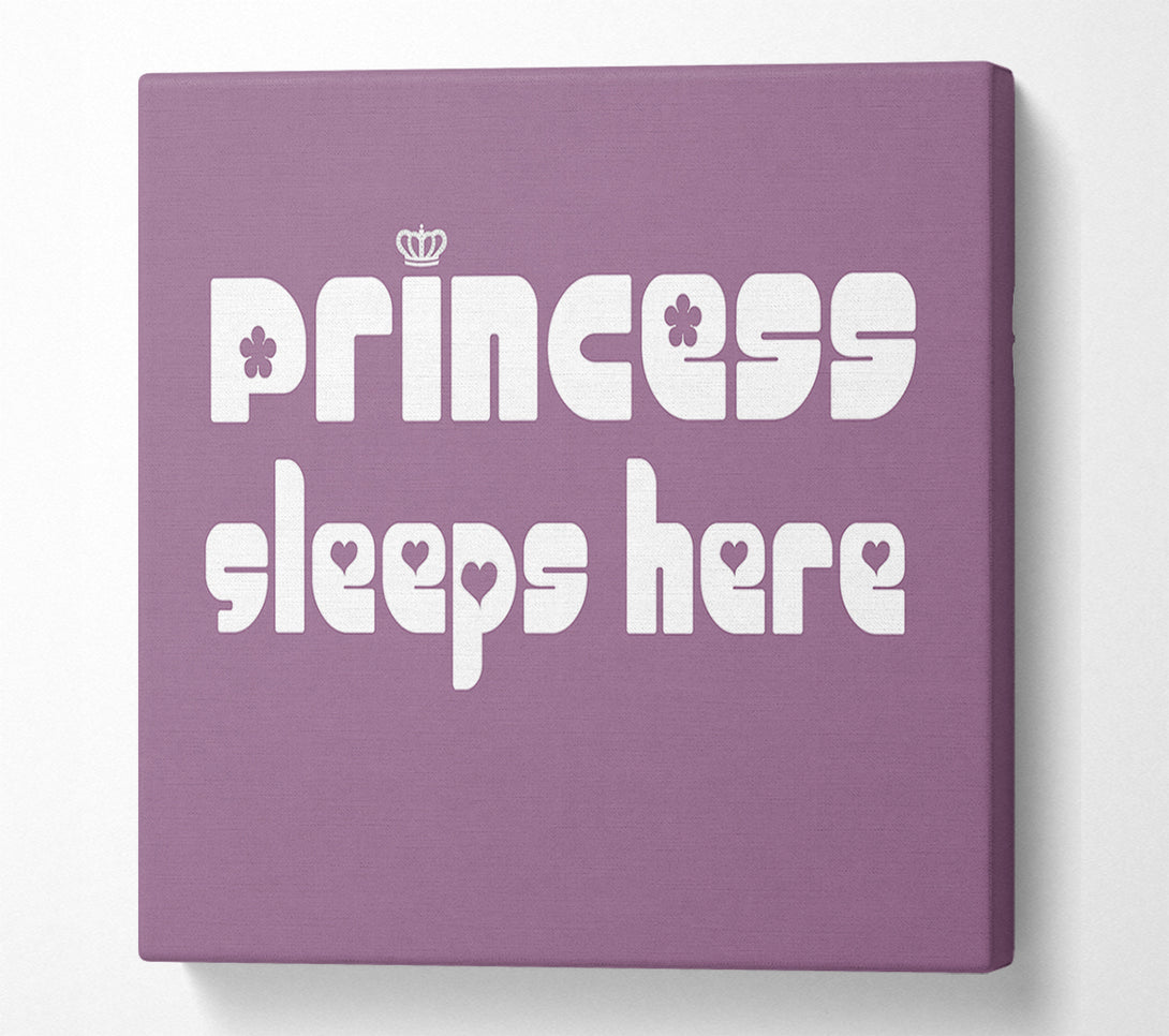  A Canvas Print of Princess sleeps 2 Dusty Pink Canvas Print