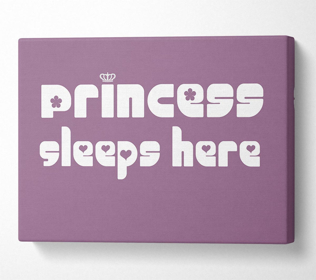  A Canvas Print of Princess sleeps 2 Dusty Pink Canvas Print
