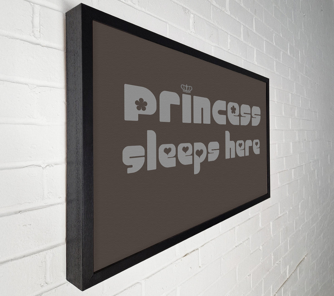  A Canvas Print of Princess sleeps 2 Chocolate Canvas Print