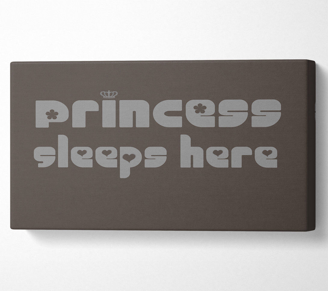  A Canvas Print of Princess sleeps 2 Chocolate Canvas Print