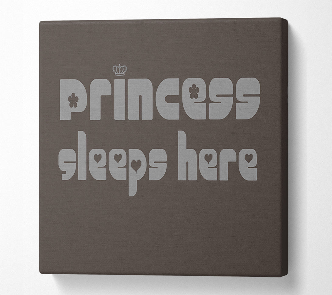  A Canvas Print of Princess sleeps 2 Chocolate Canvas Print