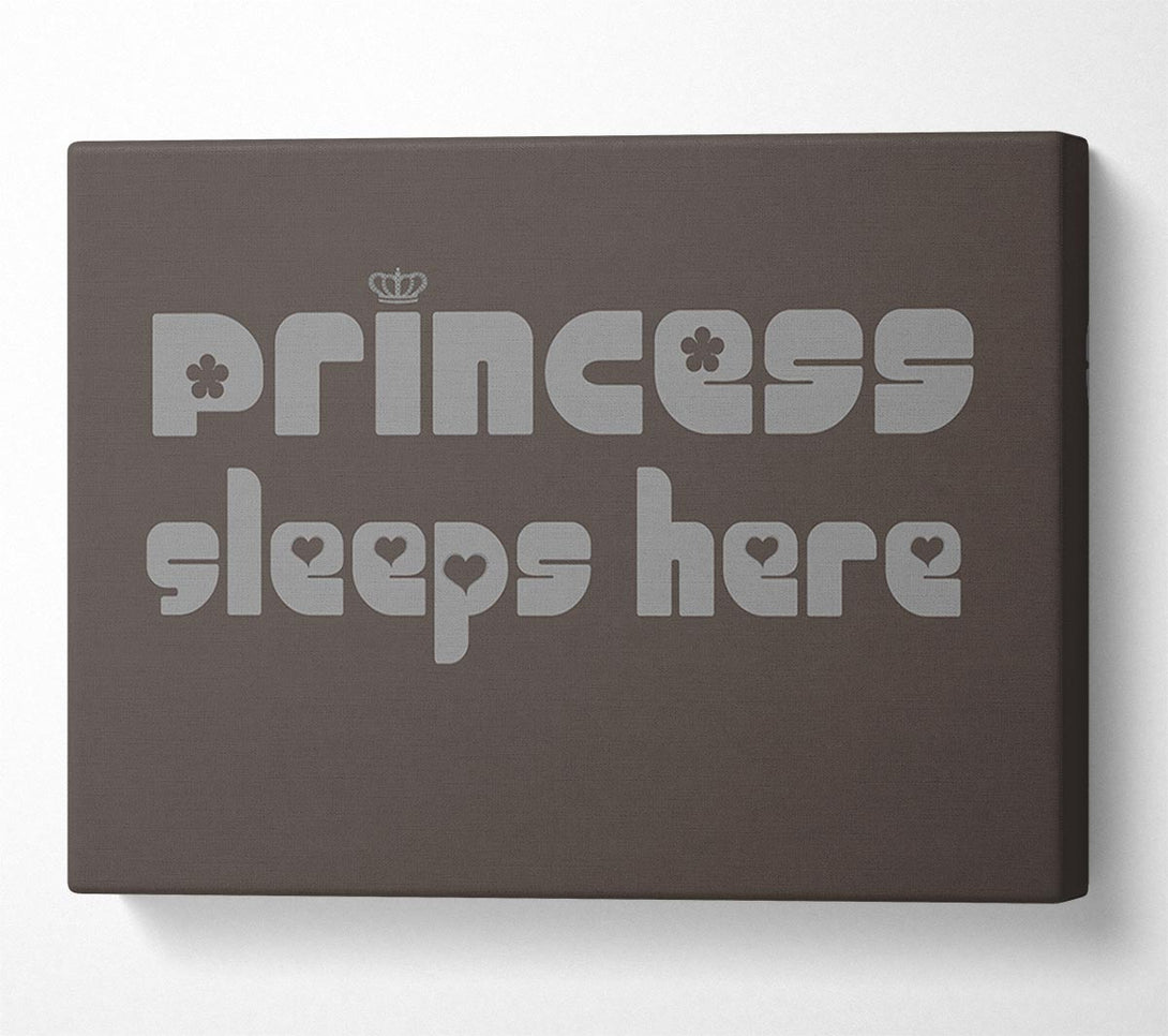  A Canvas Print of Princess sleeps 2 Chocolate Canvas Print
