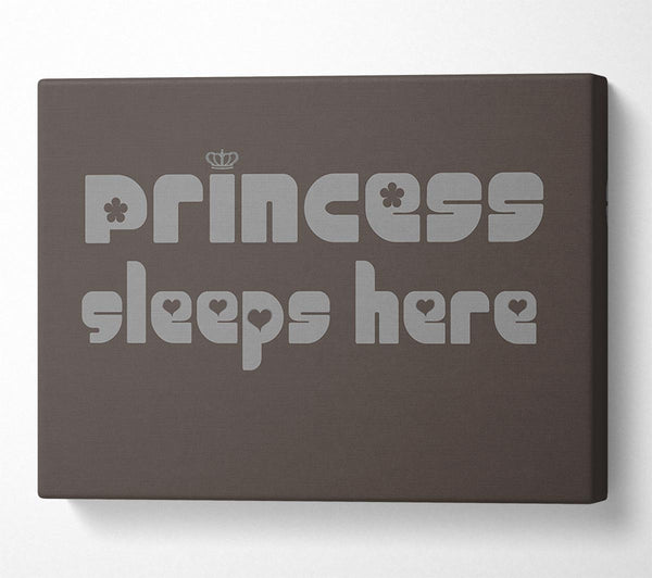  A Canvas Print of Princess sleeps 2 Chocolate Canvas Print