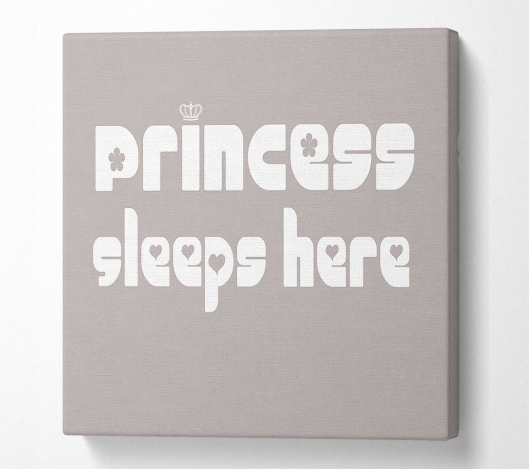  A Canvas Print of Princess sleeps 2 Beige Canvas Print