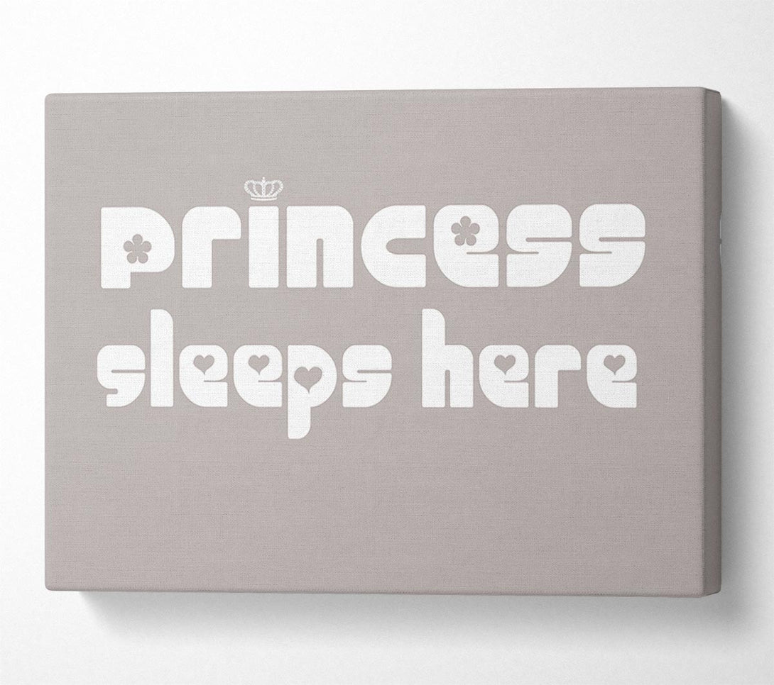  A Canvas Print of Princess sleeps 2 Beige Canvas Print