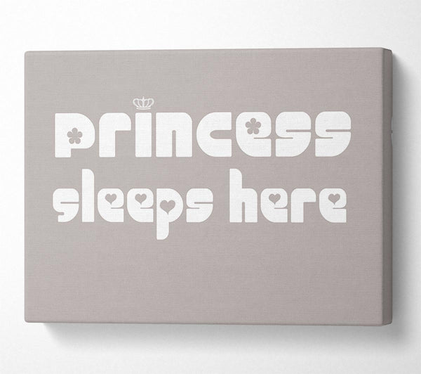  A Canvas Print of Princess sleeps 2 Beige Canvas Print