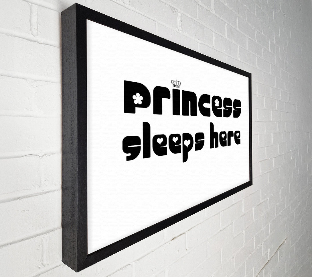  A Canvas Print of Princesss Sleeps Here 2 White Canvas Wall Art