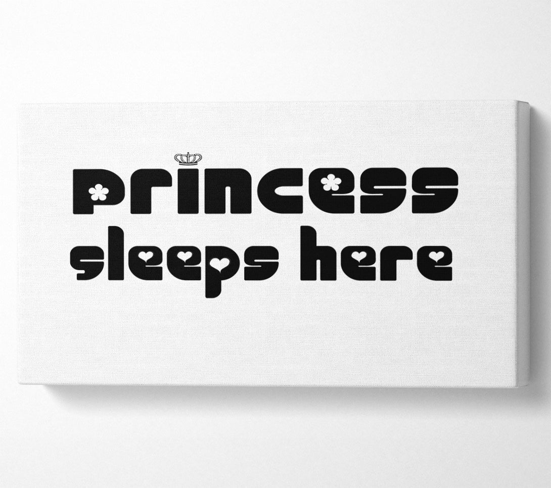  A Canvas Print of Princesss Sleeps Here 2 White Canvas Wall Art