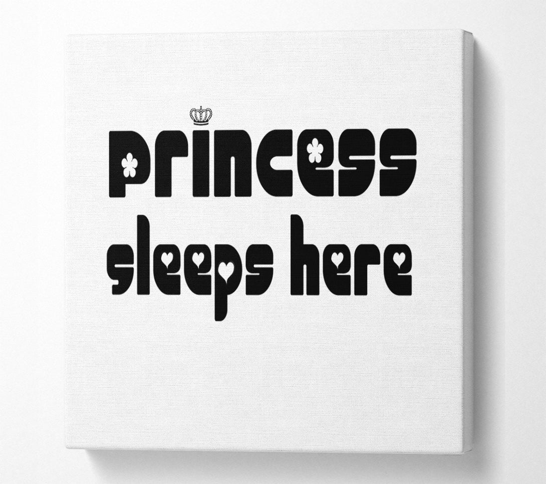  A Canvas Print of Princesss Sleeps Here 2 White Canvas Wall Art