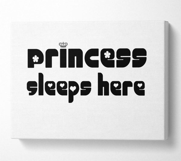  A Canvas Print of Princesss Sleeps Here 2 White Canvas Wall Art