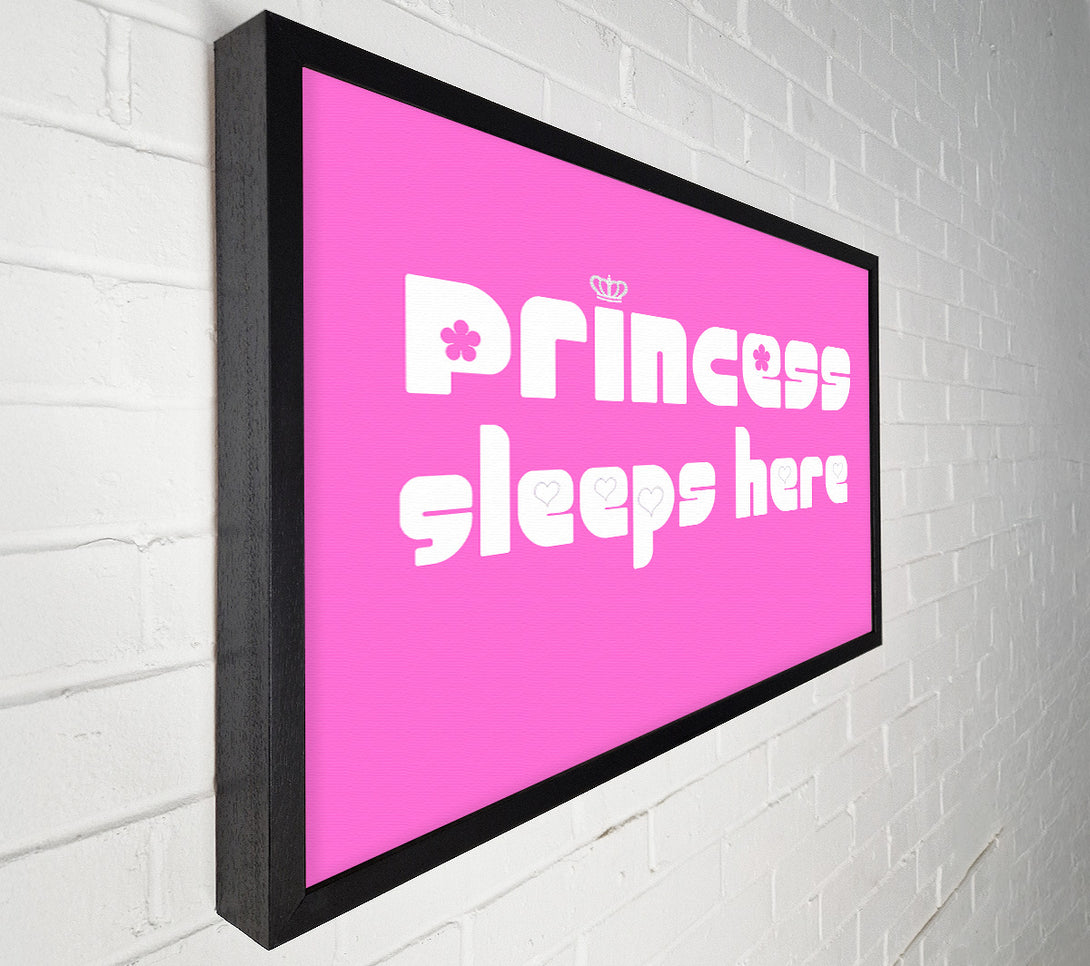  A Canvas Print of Girls Room Quote Princesss Sleeps Here 2 Vivid Pink Canvas Print