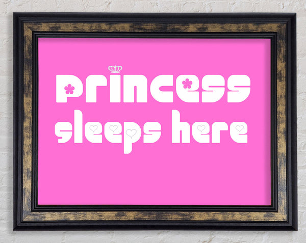 Girls Room Quote Princesss Sleeps Here 2 Vivid Pink Framed Print