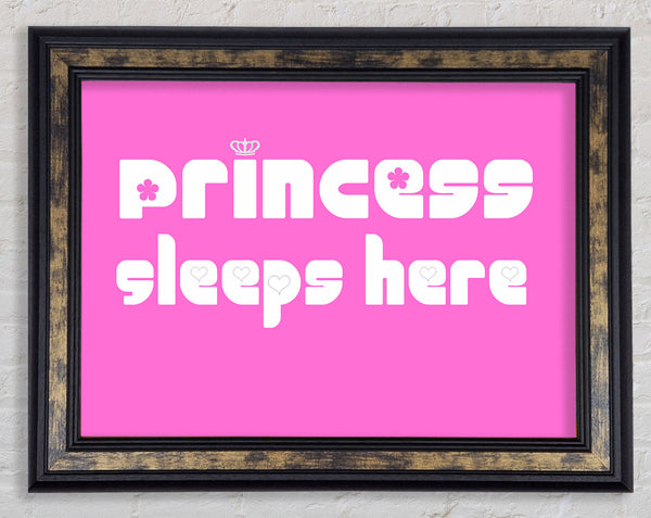 Girls Room Quote Princesss Sleeps Here 2 Vivid Pink Framed Print