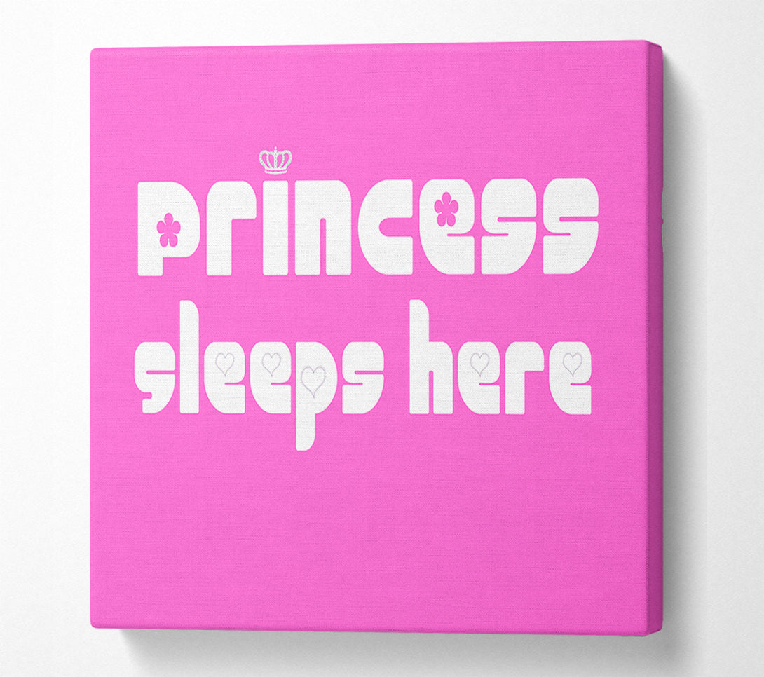  A Canvas Print of Girls Room Quote Princesss Sleeps Here 2 Vivid Pink Canvas Print