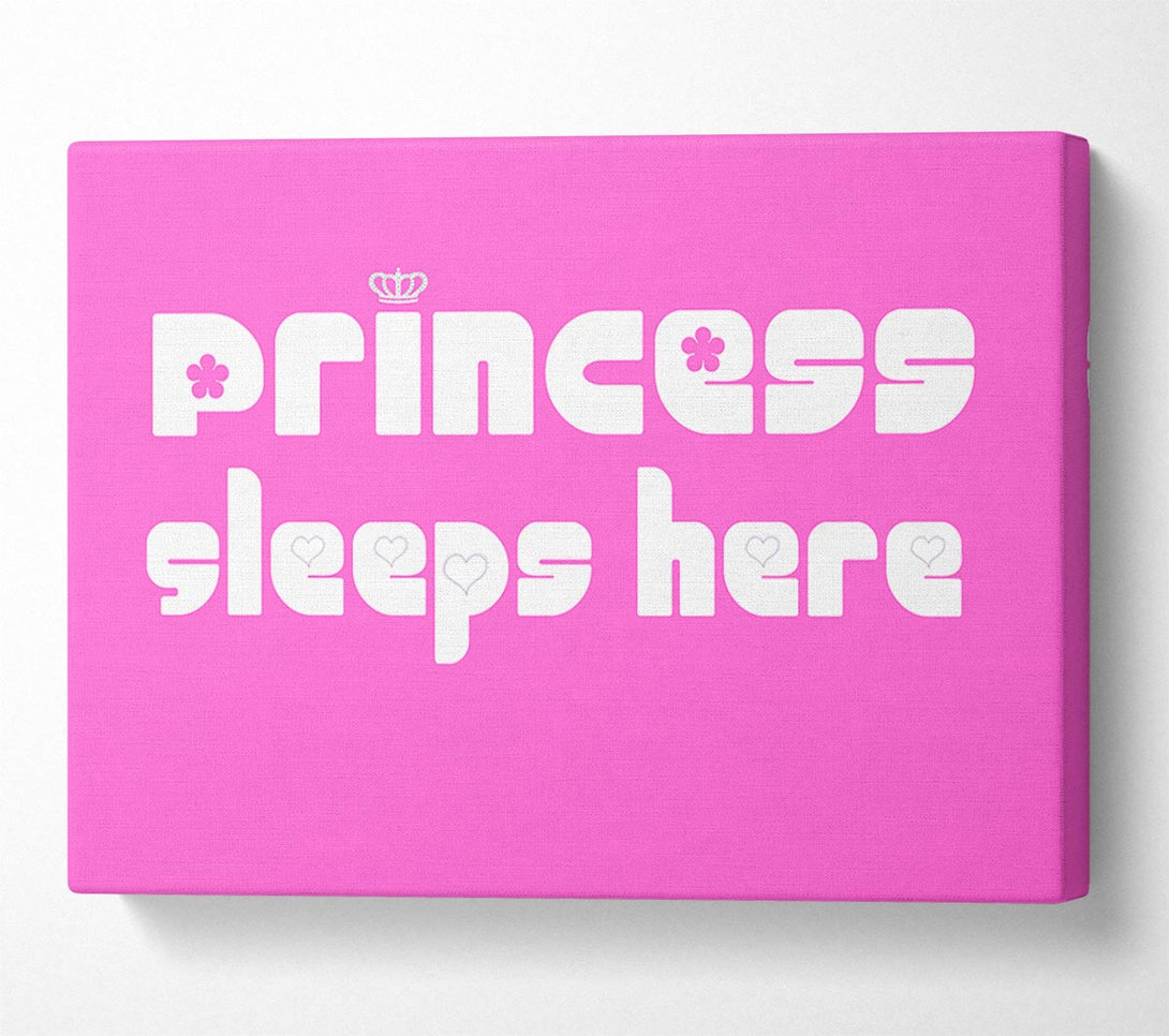  A Canvas Print of Girls Room Quote Princesss Sleeps Here 2 Vivid Pink Canvas Print
