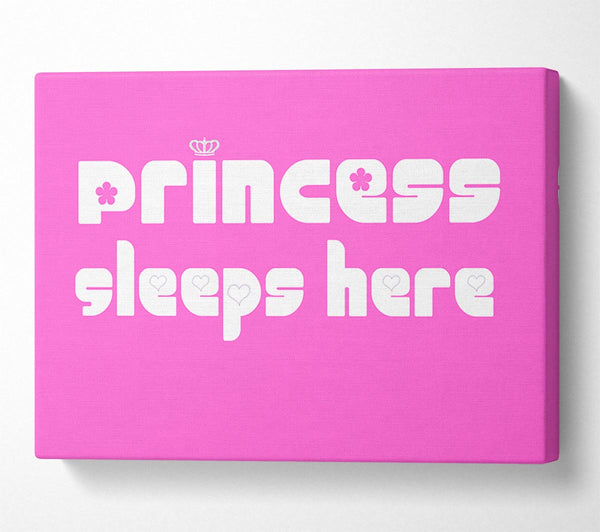  A Canvas Print of Girls Room Quote Princesss Sleeps Here 2 Vivid Pink Canvas Print