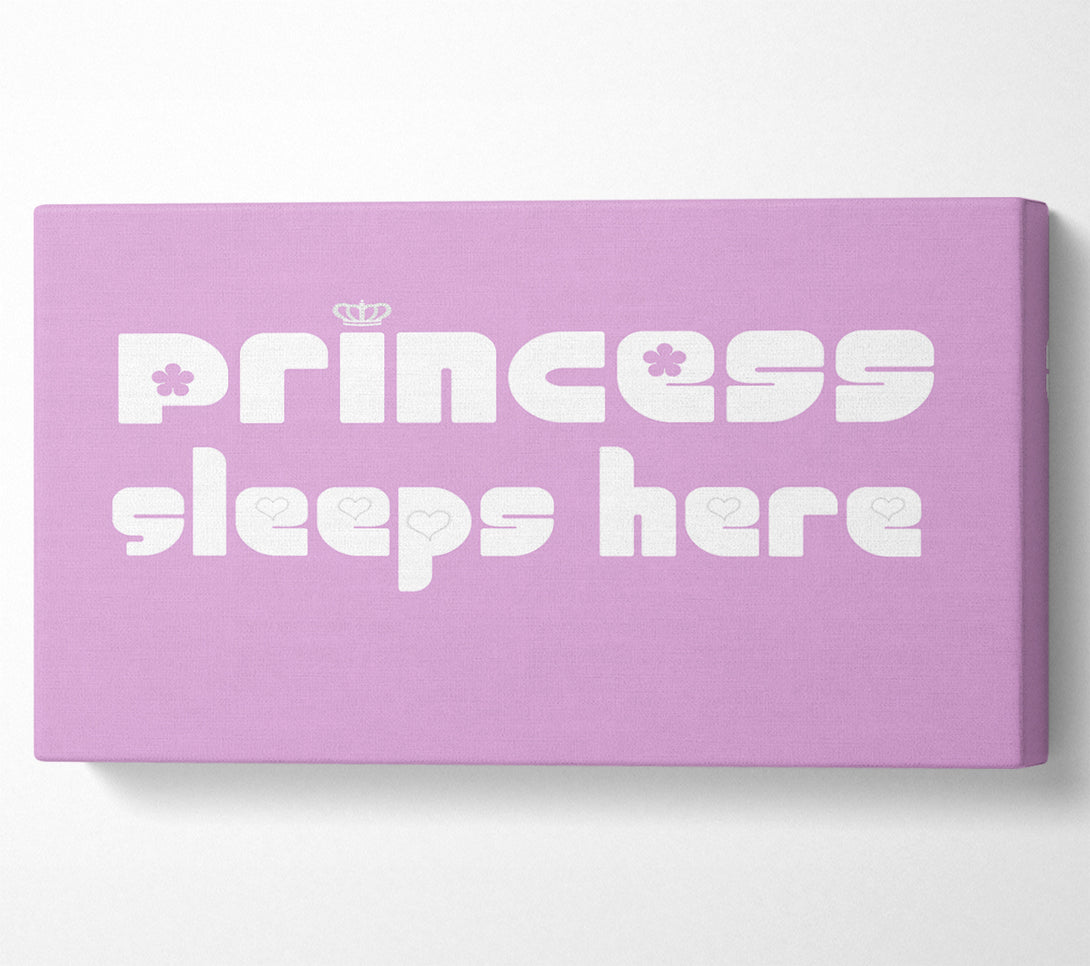  A Canvas Print of Princesss Sleeps Here 2 Pink Canvas Art