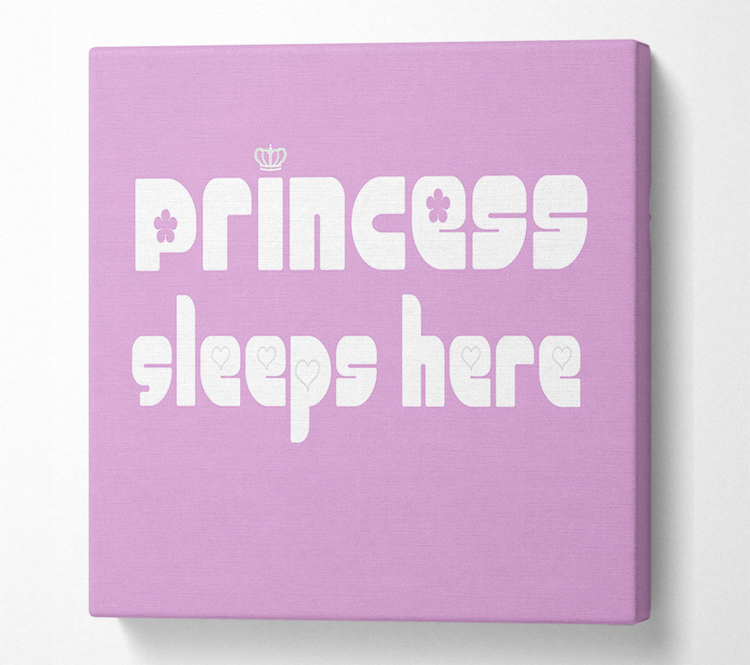  A Canvas Print of Princesss Sleeps Here 2 Pink Canvas Art