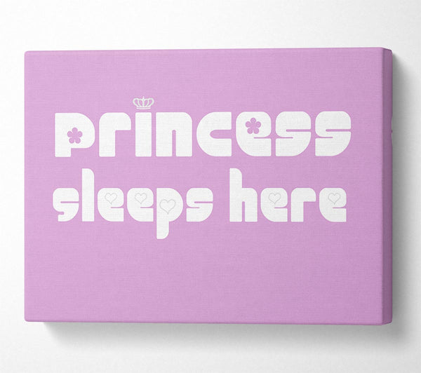  A Canvas Print of Princesss Sleeps Here 2 Pink Canvas Art