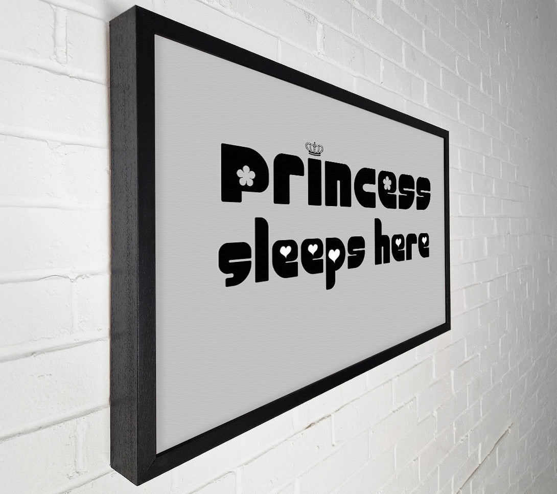  A Canvas Print of Princesss Sleeps Here 2 Grey Canvas Print