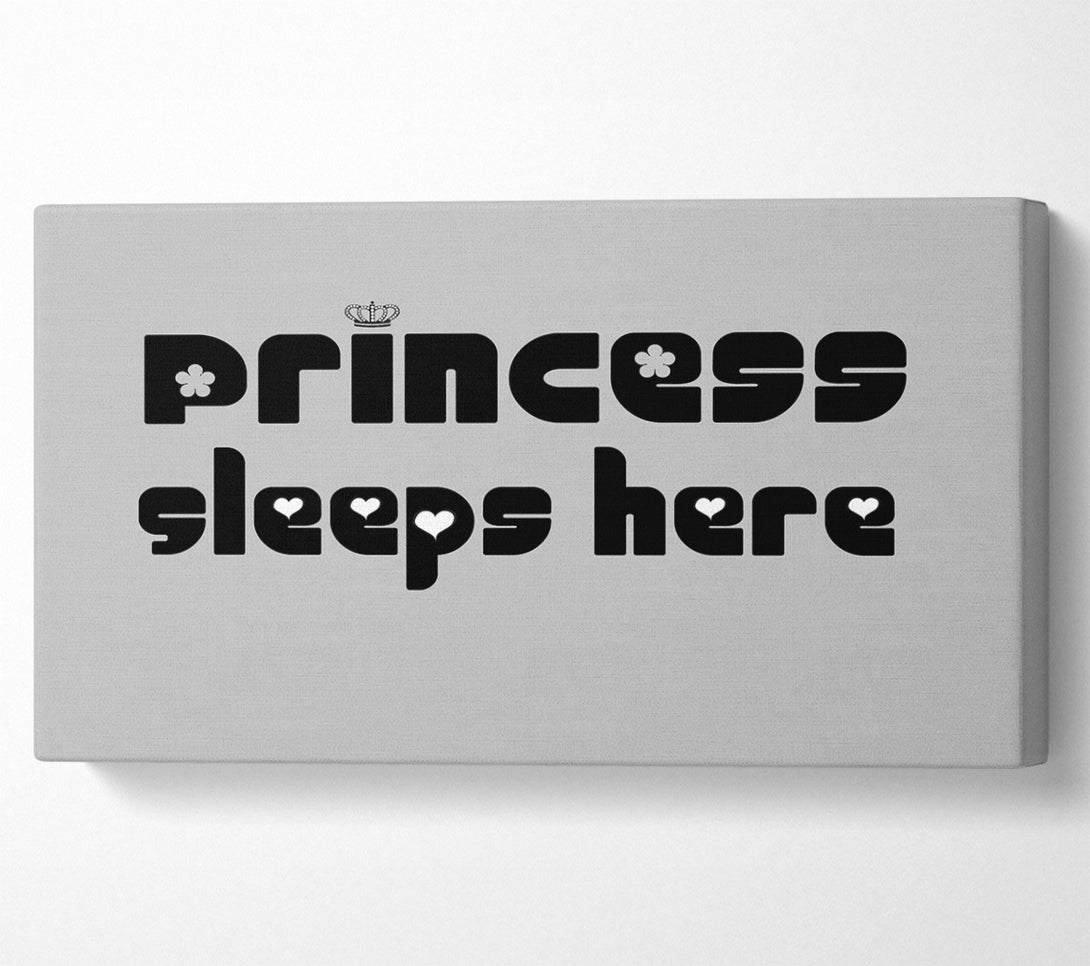  A Canvas Print of Princesss Sleeps Here 2 Grey Canvas Print