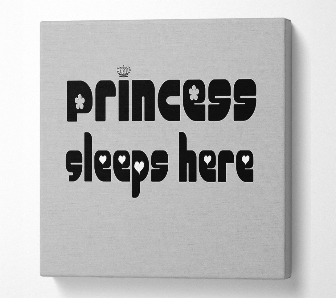  A Canvas Print of Princesss Sleeps Here 2 Grey Canvas Print