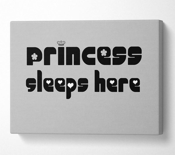  A Canvas Print of Princesss Sleeps Here 2 Grey Canvas Print