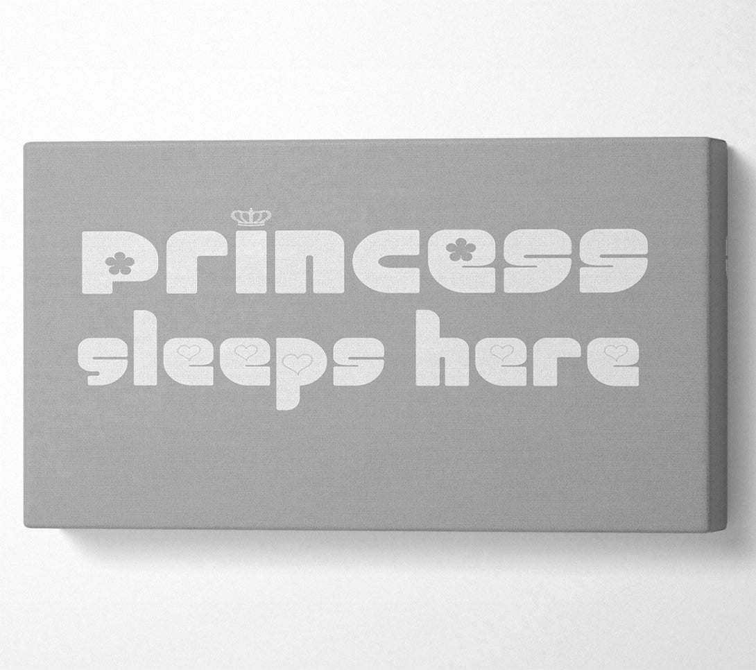  A Canvas Print of Princesss Sleeps Here 2 Grey White Canvas Wall Art