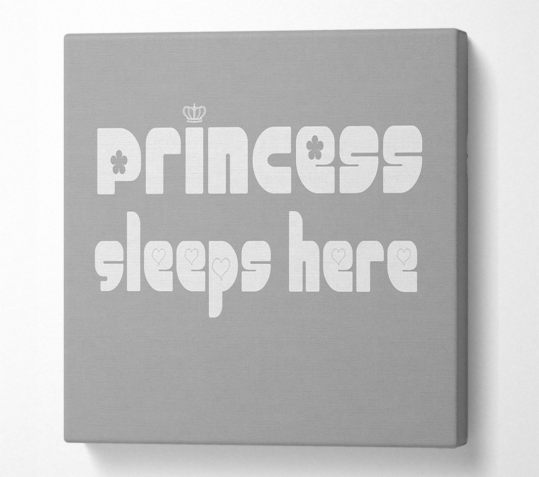  A Canvas Print of Princesss Sleeps Here 2 Grey White Canvas Wall Art