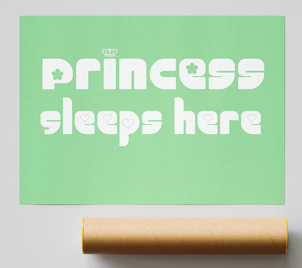 Princesss Sleeps Here 2 Green Print
