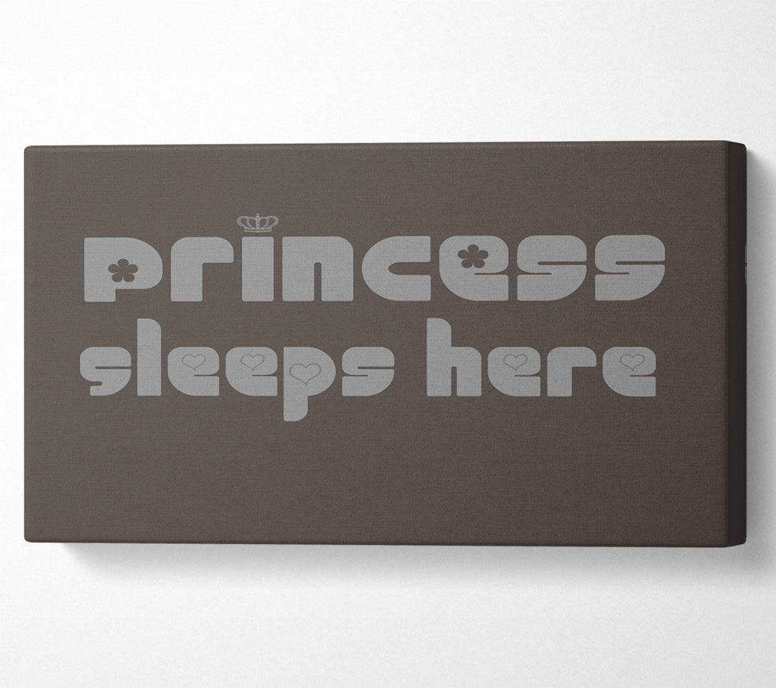  A Canvas Print of Princesss Sleeps Here 2 Chocolate Canvas Print