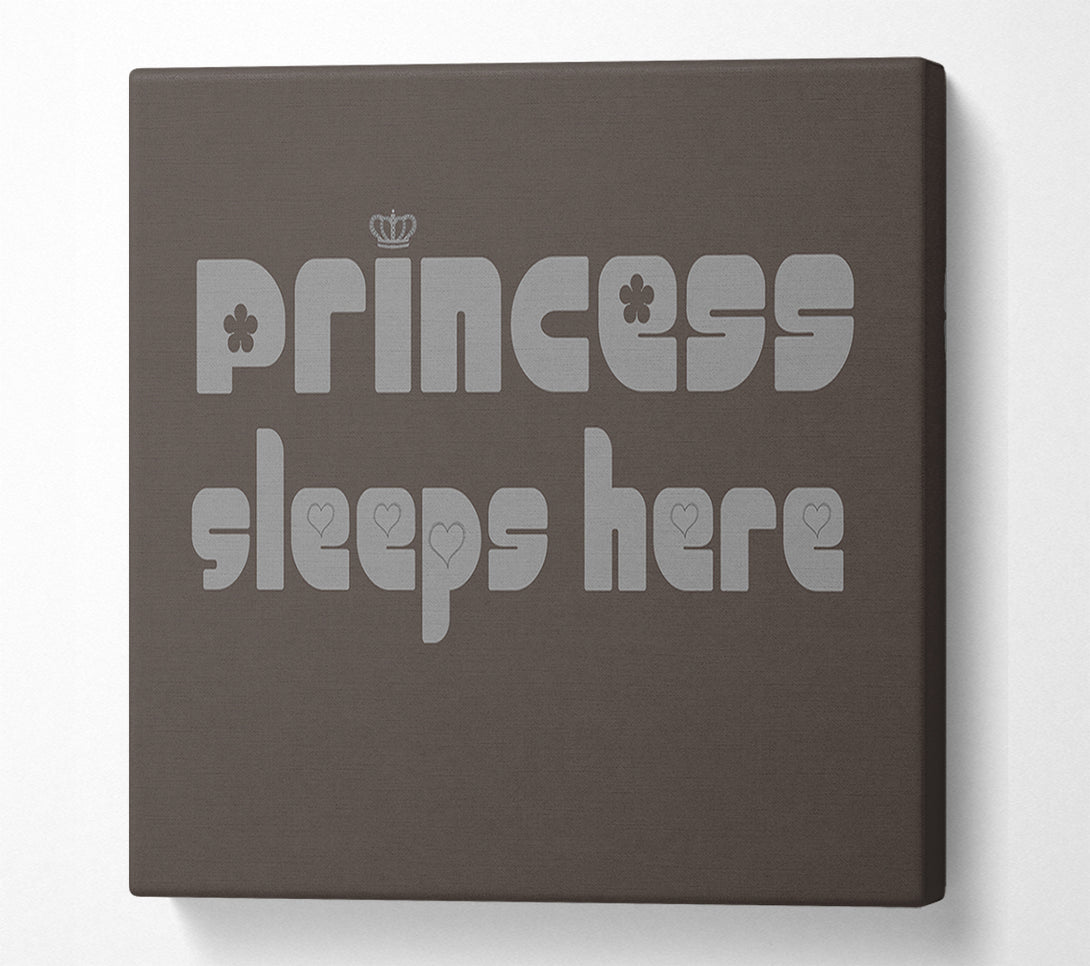  A Canvas Print of Princesss Sleeps Here 2 Chocolate Canvas Print