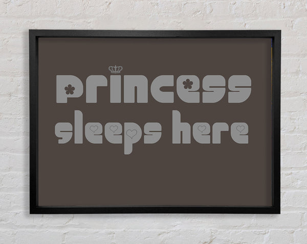 Princesss Sleeps Here 2 Chocolate Framed Print