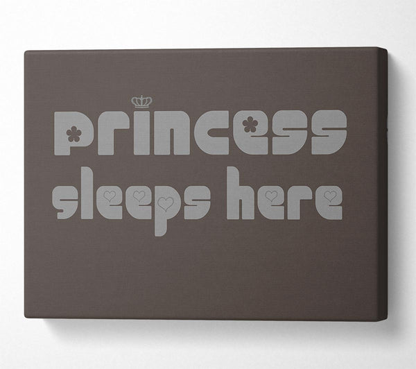  A Canvas Print of Princesss Sleeps Here 2 Chocolate Canvas Print
