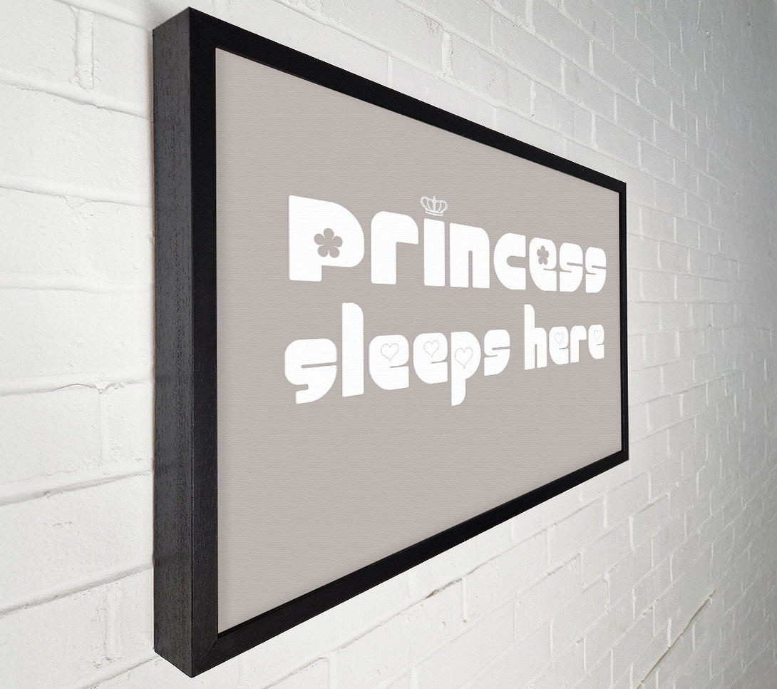  A Canvas Print of Princesss Sleeps Here 2 Beige Canvas Print