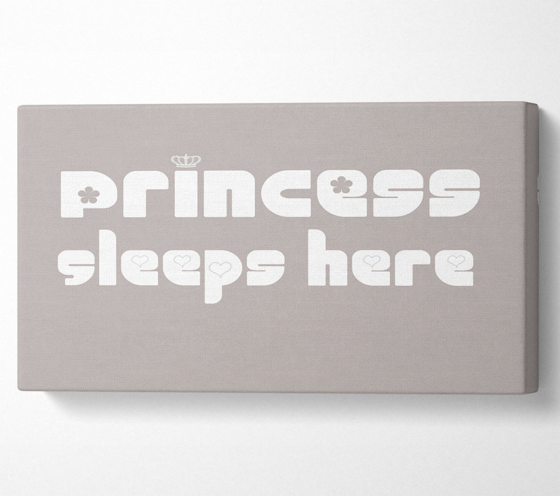  A Canvas Print of Princesss Sleeps Here 2 Beige Canvas Print