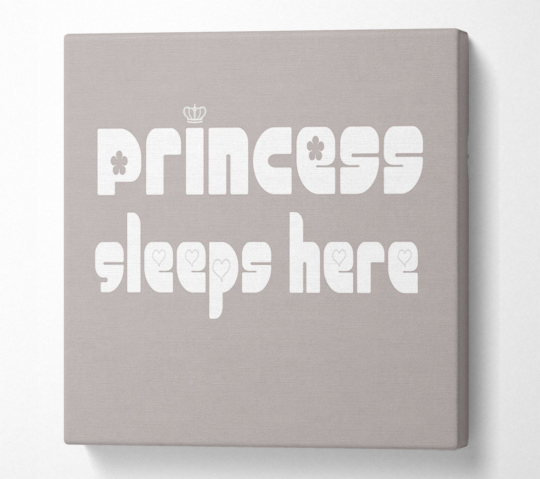  A Canvas Print of Princesss Sleeps Here 2 Beige Canvas Print